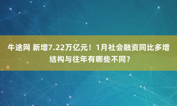牛途网 新增7.22万亿元！1月社会融资同比多增 结构与往年有哪些不同？