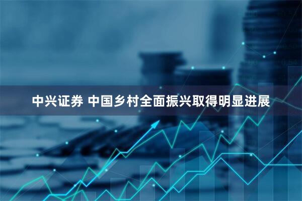 中兴证券 中国乡村全面振兴取得明显进展