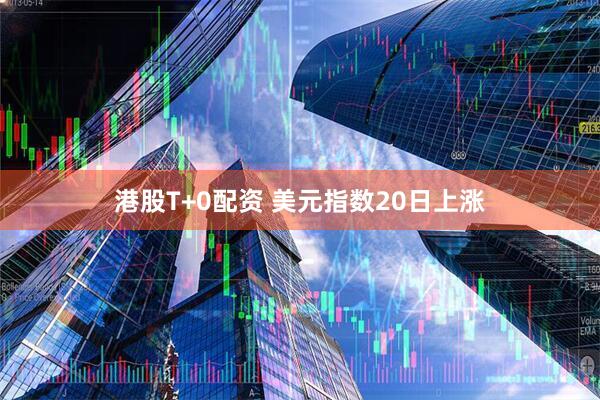 港股T+0配资 美元指数20日上涨