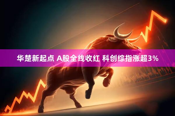 华楚新起点 A股全线收红 科创综指涨超3%