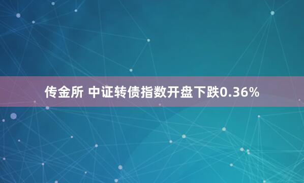 传金所 中证转债指数开盘下跌0.36%